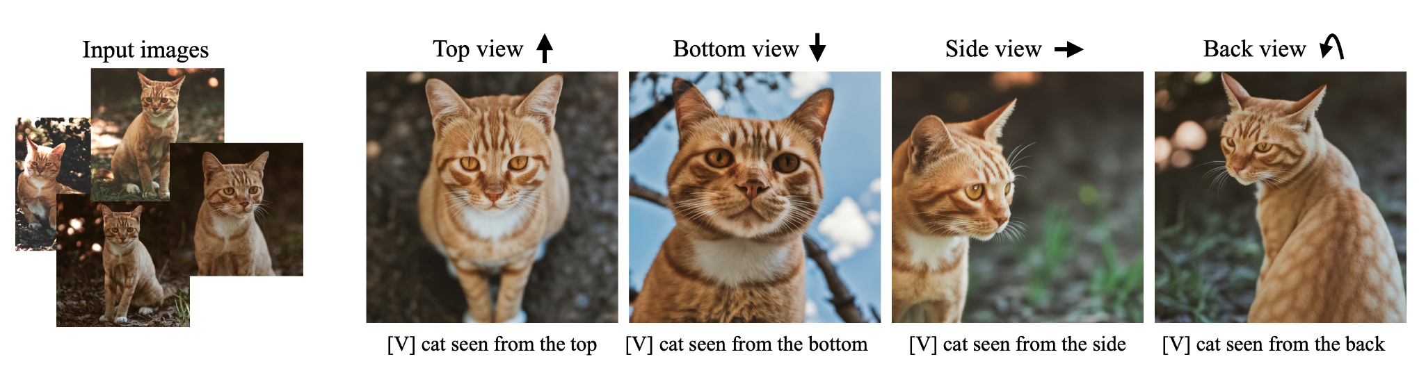 text_guided_view_synthesis